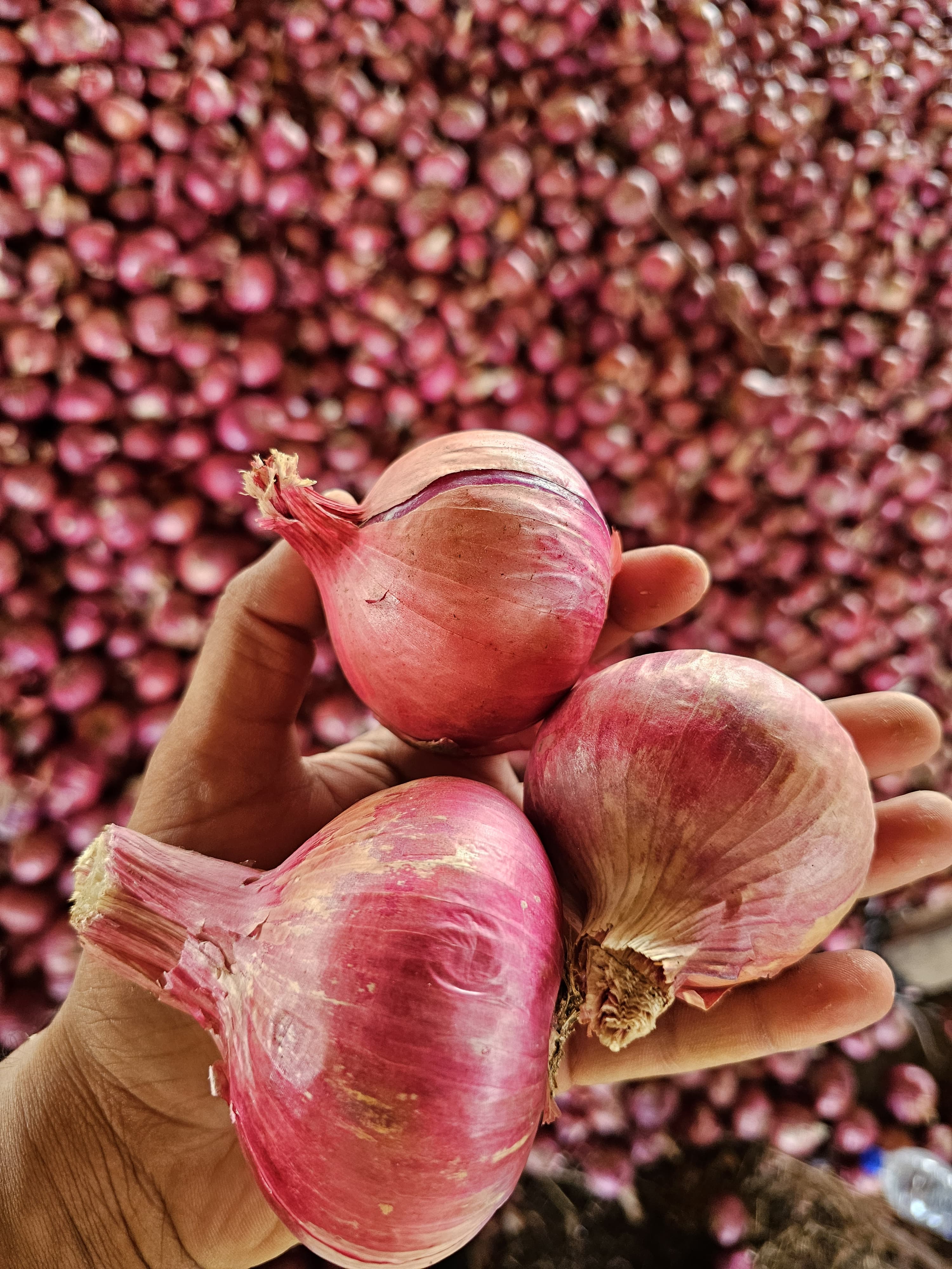 Onions