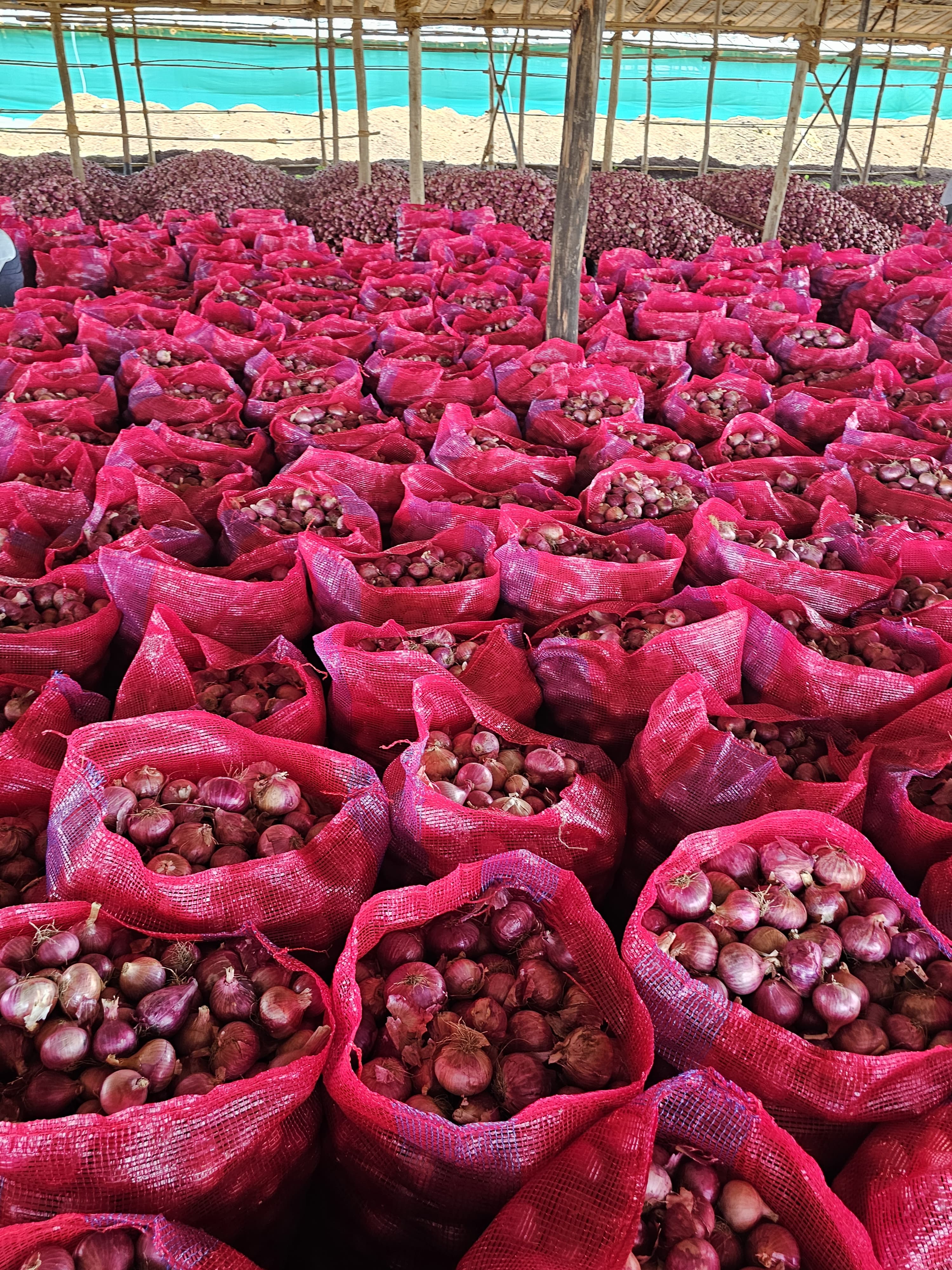 Wholesale Trading