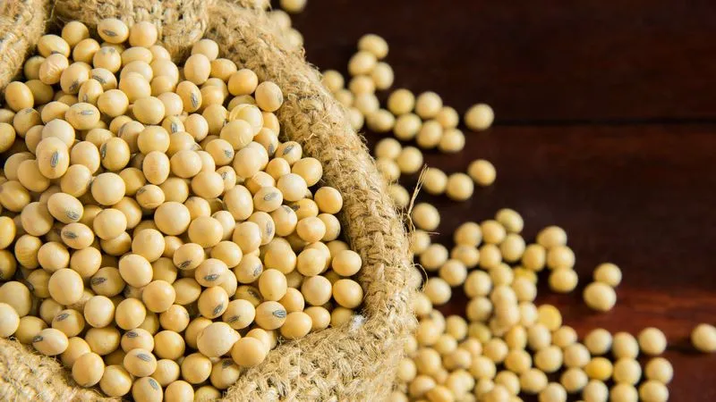 Oilseeds